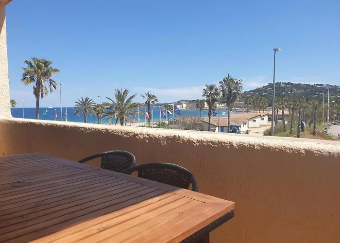 3 Pieces Face Et St-tropez Appartement Cogolin